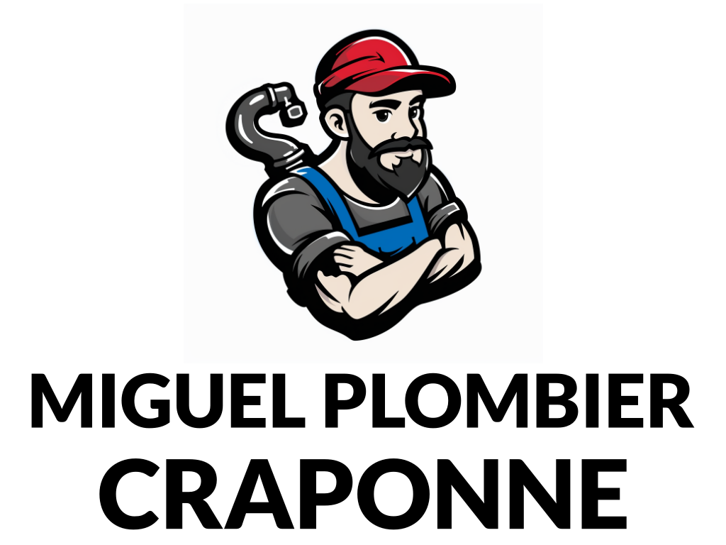 Miguel Plombier Craponne